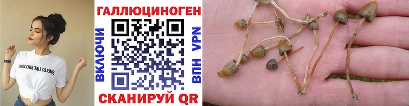 Псилоцибиновые грибы мухоморы  Купить где  Ухта 